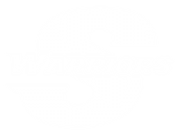 California State University, Stanislaus banner logo